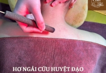 PHƯƠNG PHÁP BỔ TRỢ